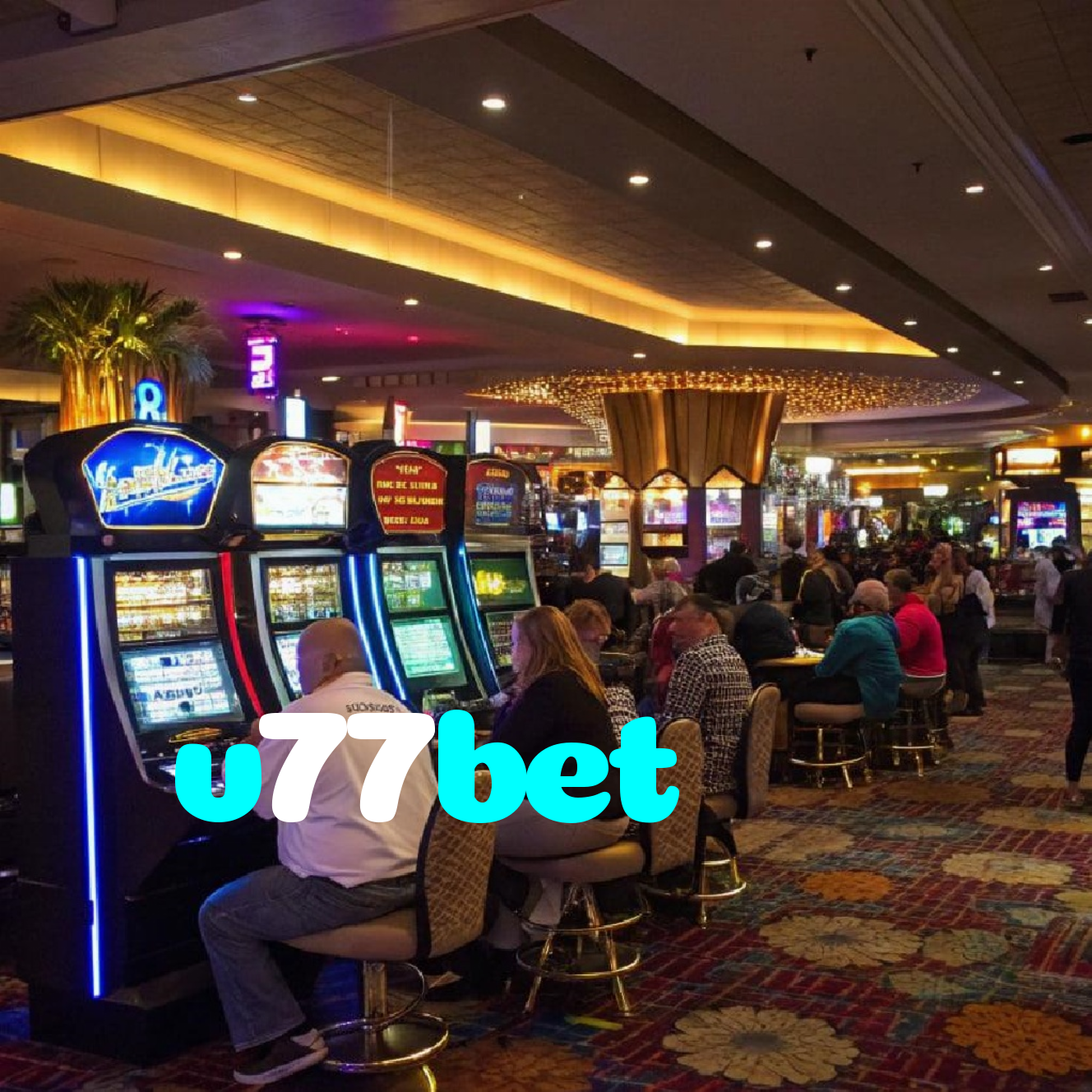 v77bet