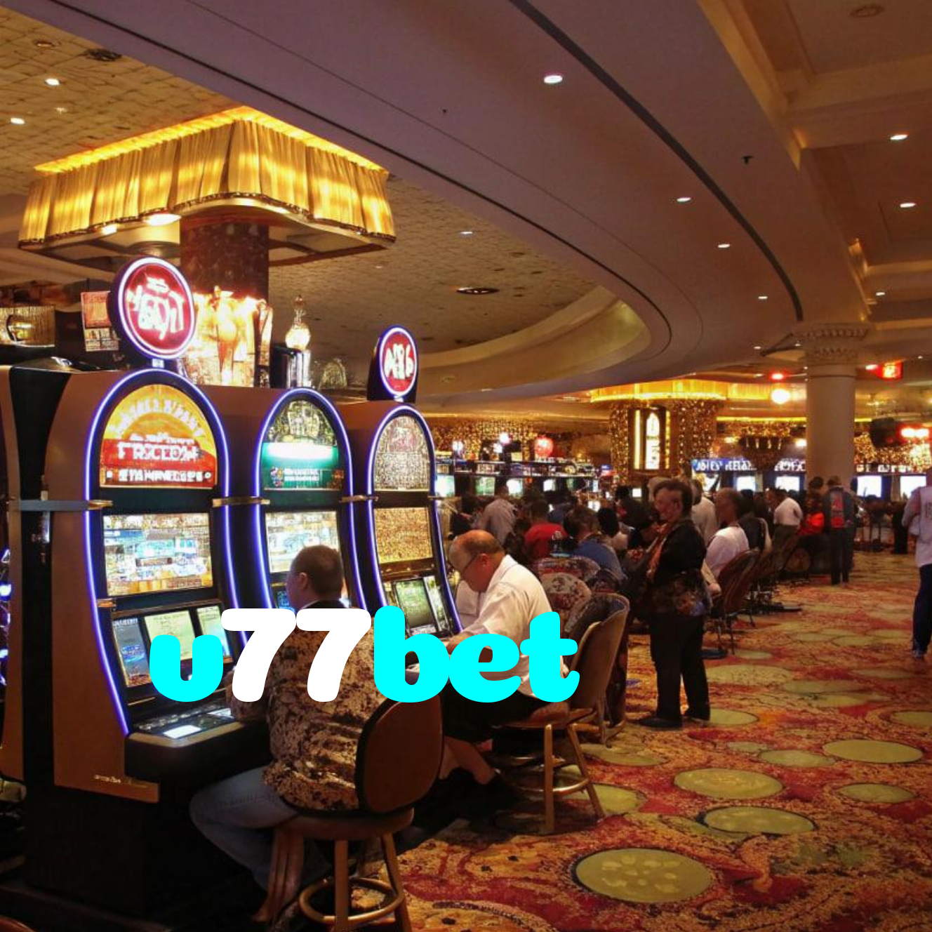 v77bet