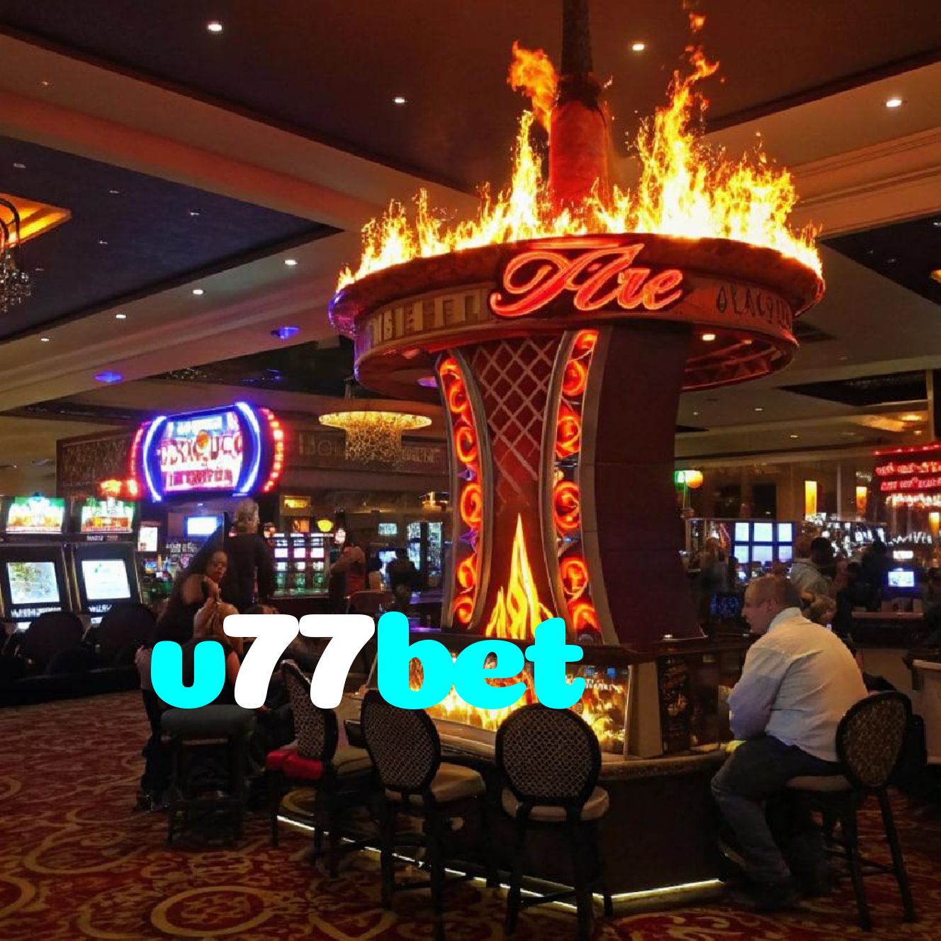 v77bet